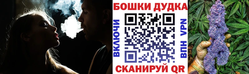 Бошки марихуана Amnesia  Чадан 